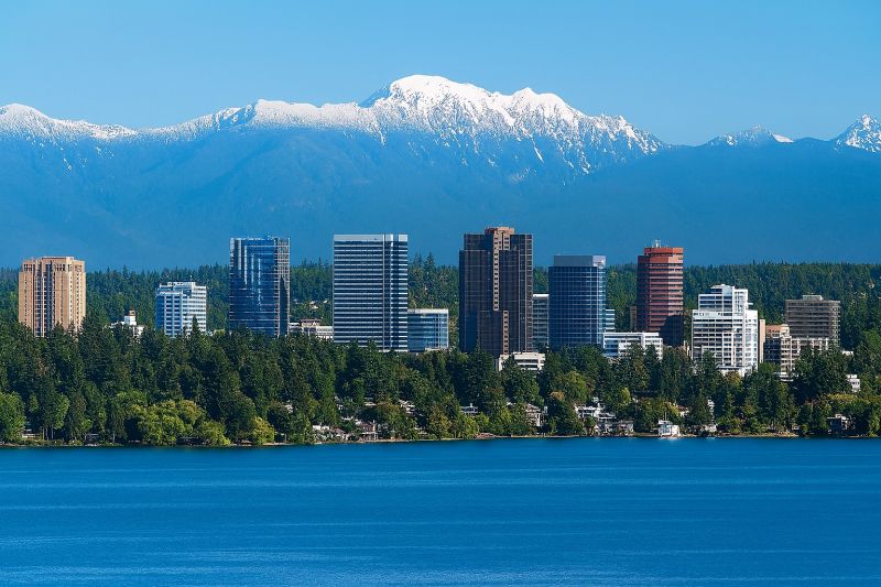 Best Shower Remodeling pros in Renton, WA