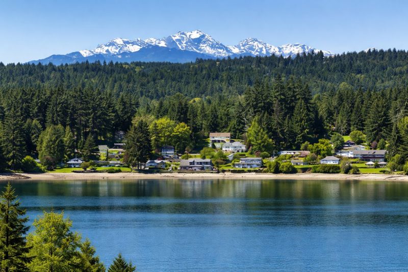 Best Tub To Shower Conversion pros in Vashon, WA