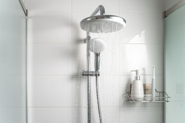 Cost of Shower Conversion Service in Puyallup