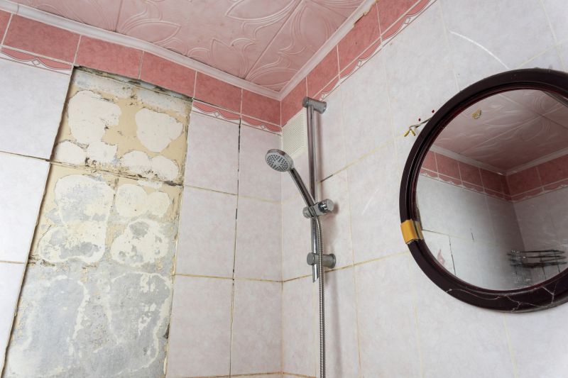 Top Shower Remodeling Companies in Eatonville, WA