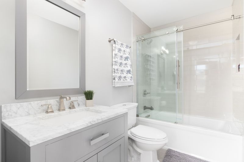 Top Tub To Shower Conversion Companies in Auburn, WA