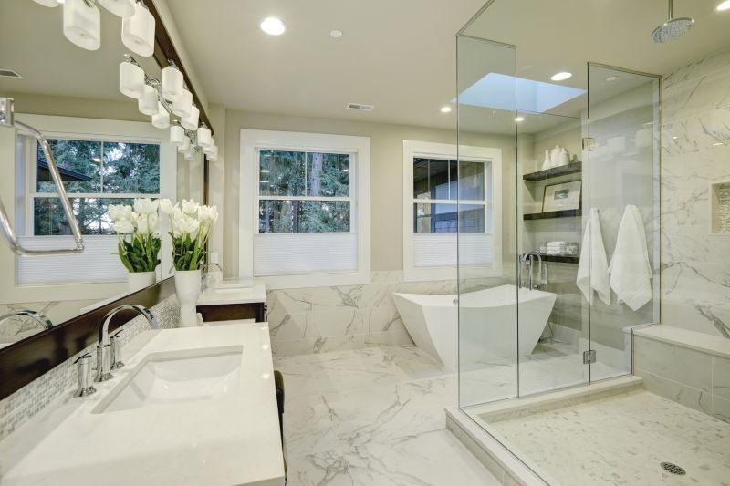 Contemporary walk-in shower